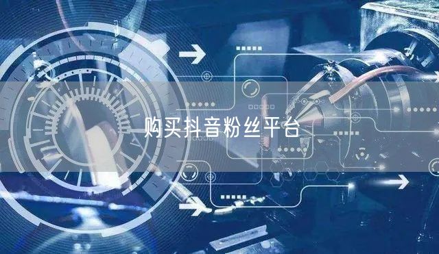 购买抖音粉丝平台