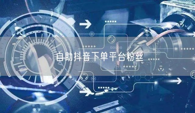 自助抖音下单平台粉丝