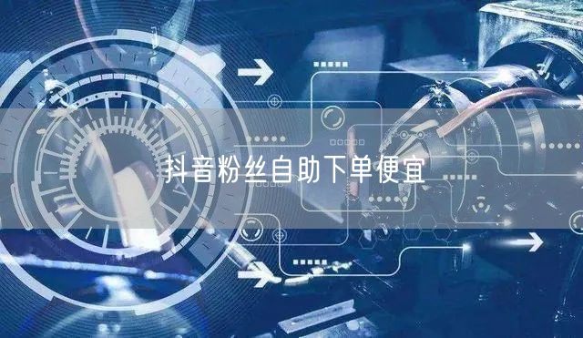 抖音粉丝自助下单便宜