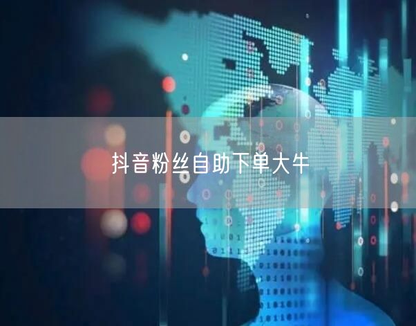 抖音粉丝自助下单大牛