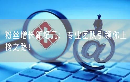 粉丝增长新纪元：专业团队引领你上榜之路！