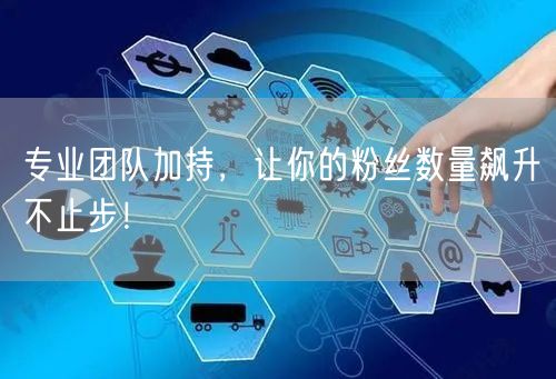 专业团队加持，让你的粉丝数量飙升不止步！