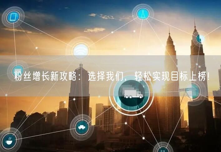 粉丝增长新攻略：选择我们，轻松实现目标上榜！