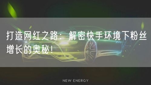 打造网红之路：解密快手环境下粉丝增长的奥秘！