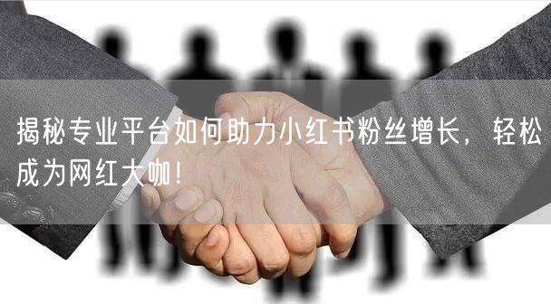 揭秘专业平台如何助力小红书粉丝增长，轻松成为网红大咖！