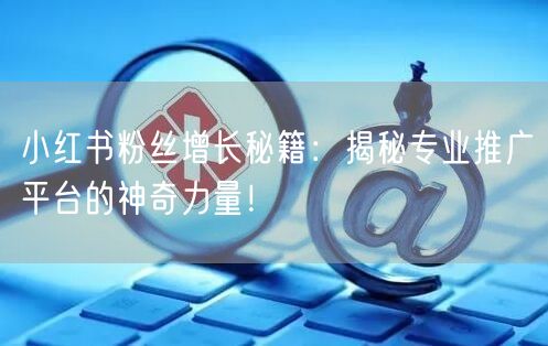 小红书粉丝增长秘籍：揭秘专业推广平台的神奇力量！