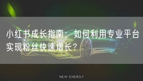 小红书成长指南：如何利用专业平台实现粉丝快速增长？