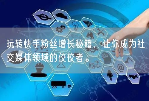 玩转快手粉丝增长秘籍，让你成为社交媒体领域的佼佼者。