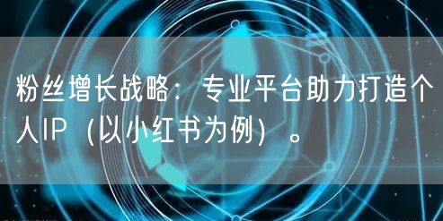 粉丝增长战略：专业平台助力打造个人IP（以小红书为例）。