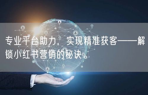 专业平台助力，实现精准获客——解锁小红书营销的秘诀。
