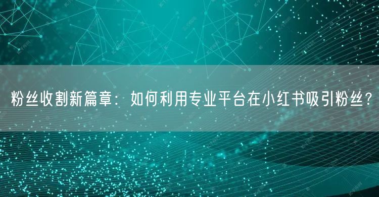 粉丝收割新篇章：如何利用专业平台在小红书吸引粉丝？