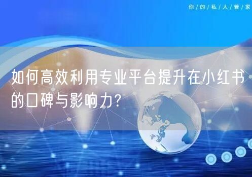 如何高效利用专业平台提升在小红书的口碑与影响力？