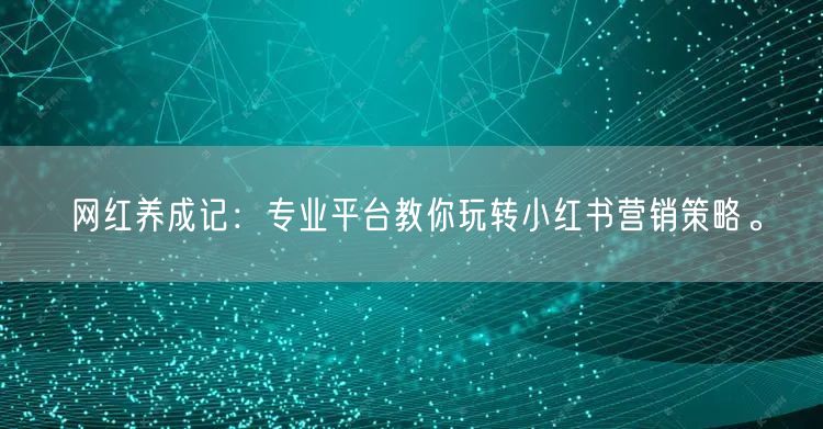 网红养成记：专业平台教你玩转小红书营销策略。