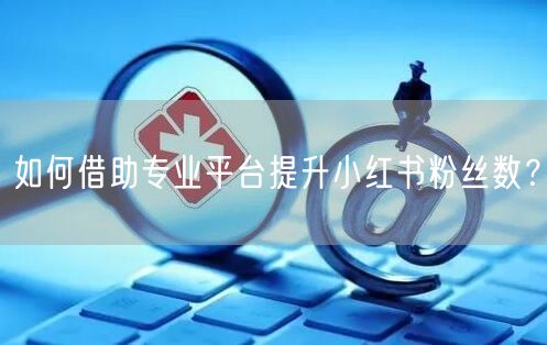 如何借助专业平台提升小红书粉丝数？