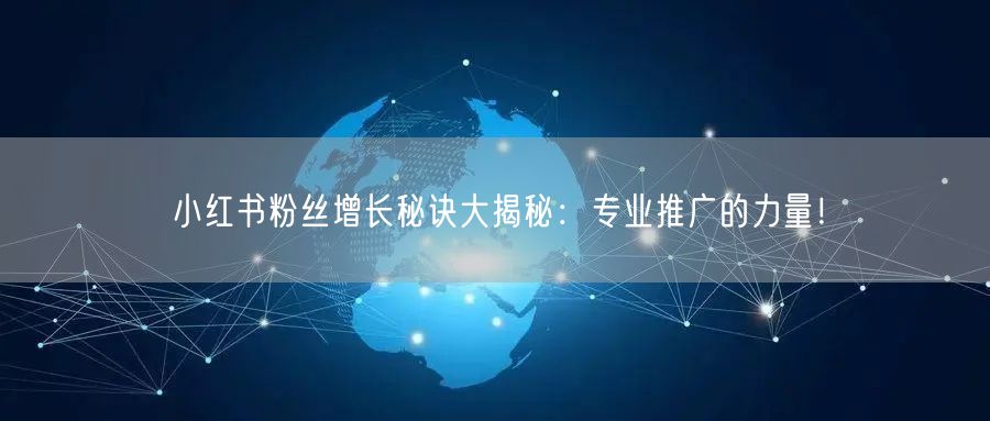 小红书粉丝增长秘诀大揭秘：专业推广的力量！