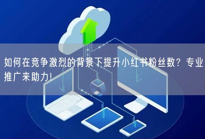 如何在竞争激烈的背景下提升小红书粉丝数？专业推广来助力！