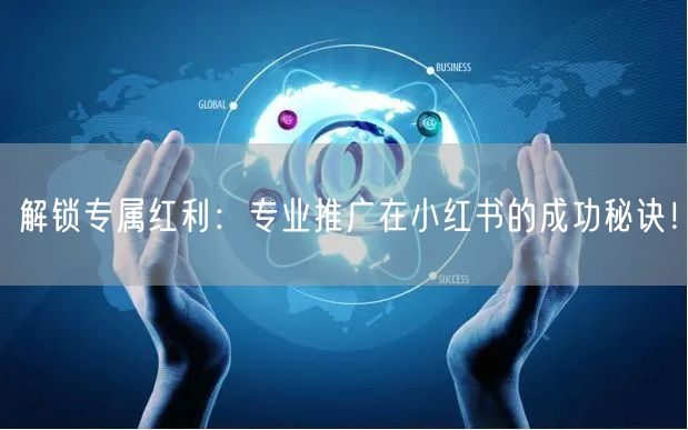 解锁专属红利：专业推广在小红书的成功秘诀！