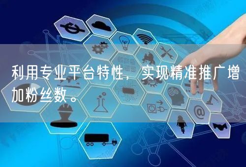 利用专业平台特性，实现精准推广增加粉丝数。