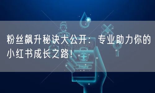 粉丝飙升秘诀大公开：专业助力你的小红书成长之路！