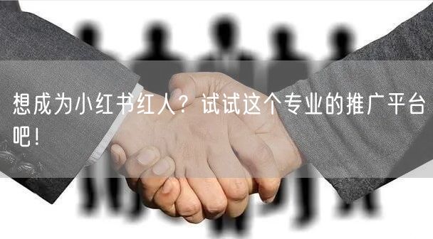 想成为小红书红人？试试这个专业的推广平台吧！