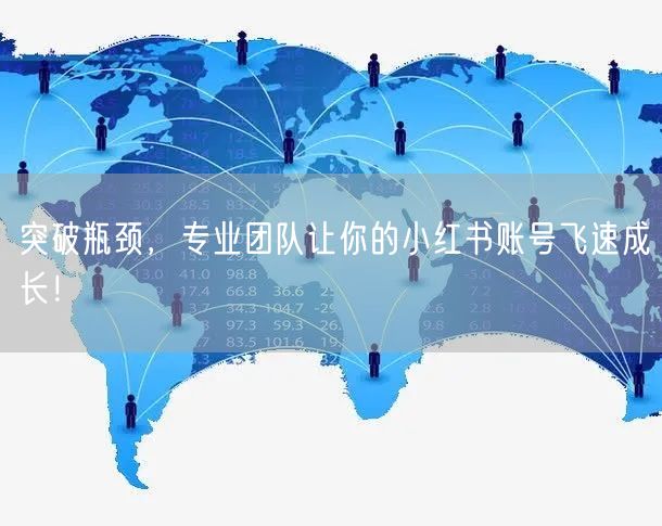 突破瓶颈，专业团队让你的小红书账号飞速成长！