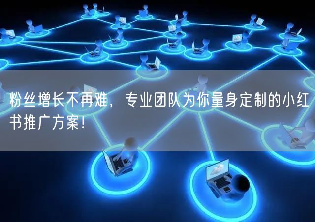 粉丝增长不再难，专业团队为你量身定制的小红书推广方案！
