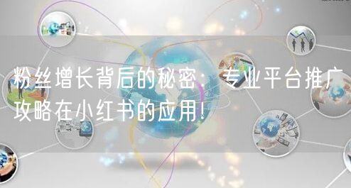 粉丝增长背后的秘密：专业平台推广攻略在小红书的应用！