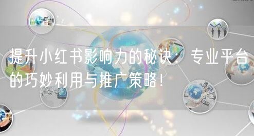 提升小红书影响力的秘诀：专业平台的巧妙利用与推广策略！