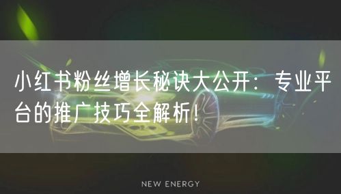 小红书粉丝增长秘诀大公开：专业平台的推广技巧全解析！