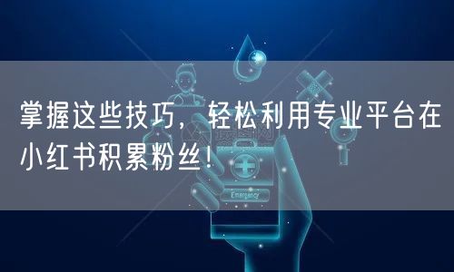 掌握这些技巧，轻松利用专业平台在小红书积累粉丝！
