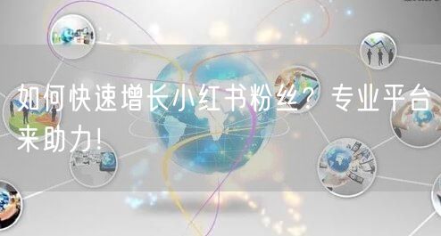 如何快速增长小红书粉丝？专业平台来助力！