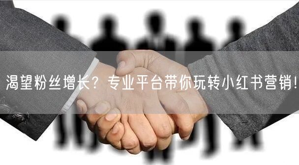 渴望粉丝增长？专业平台带你玩转小红书营销！