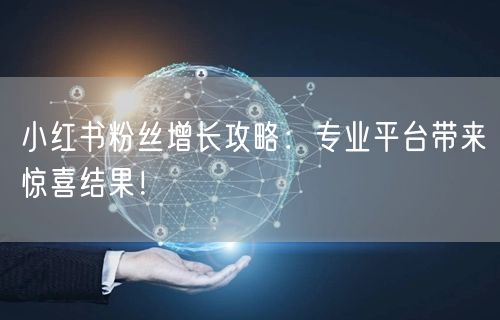 小红书粉丝增长攻略：专业平台带来惊喜结果！