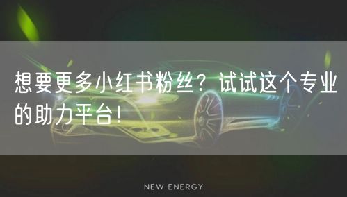 想要更多小红书粉丝？试试这个专业的助力平台！
