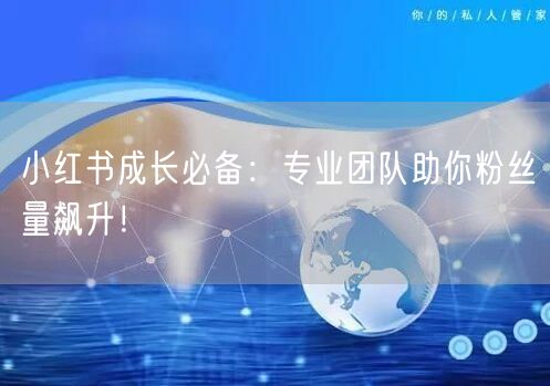 小红书成长必备：专业团队助你粉丝量飙升！