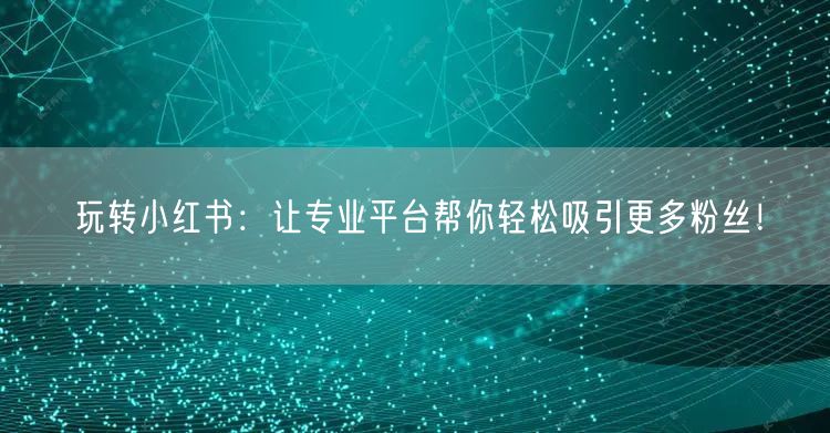 玩转小红书：让专业平台帮你轻松吸引更多粉丝！