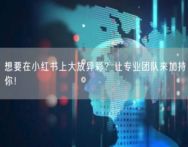 想要在小红书上大放异彩？让专业团队来加持你！