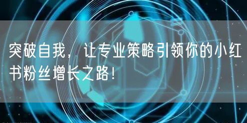 突破自我，让专业策略引领你的小红书粉丝增长之路！