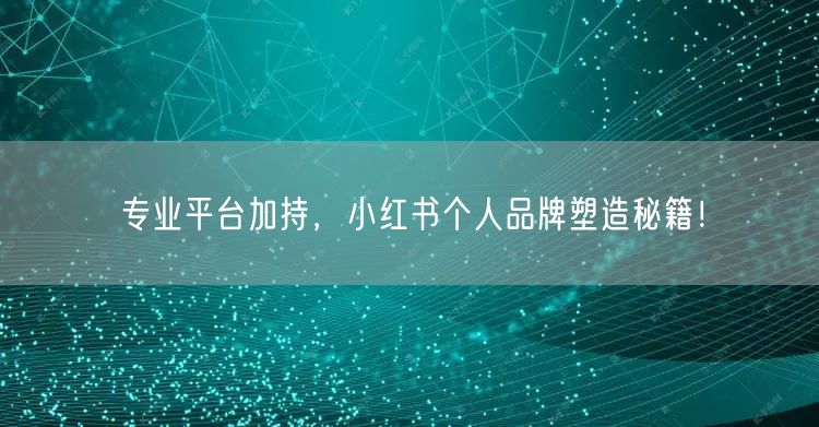 专业平台加持，小红书个人品牌塑造秘籍！
