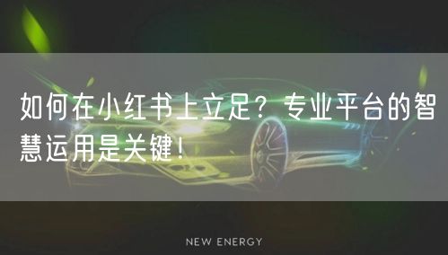 如何在小红书上立足？专业平台的智慧运用是关键！