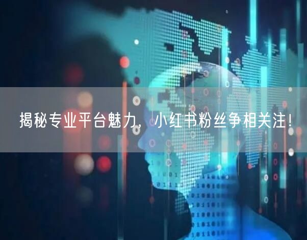 揭秘专业平台魅力，小红书粉丝争相关注！