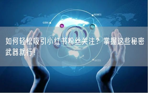 如何轻松吸引小红书粉丝关注？掌握这些秘密武器就行！