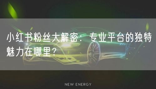 小红书粉丝大解密：专业平台的独特魅力在哪里？