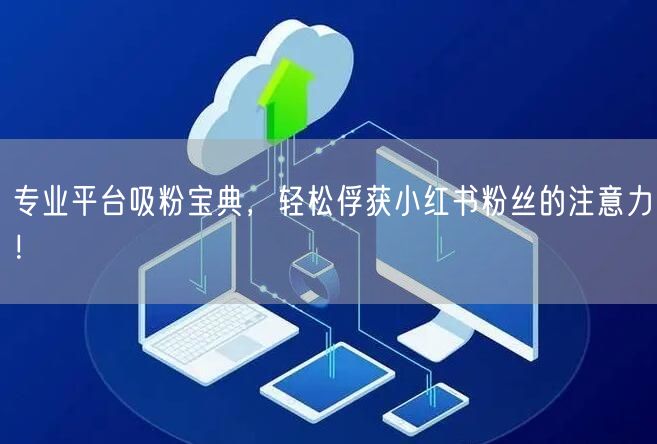 专业平台吸粉宝典，轻松俘获小红书粉丝的注意力！