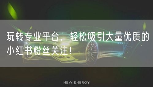 玩转专业平台，轻松吸引大量优质的小红书粉丝关注！