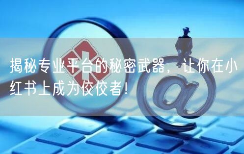 揭秘专业平台的秘密武器，让你在小红书上成为佼佼者！