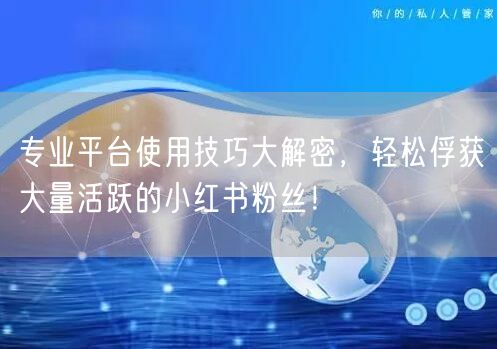 专业平台使用技巧大解密，轻松俘获大量活跃的小红书粉丝！
