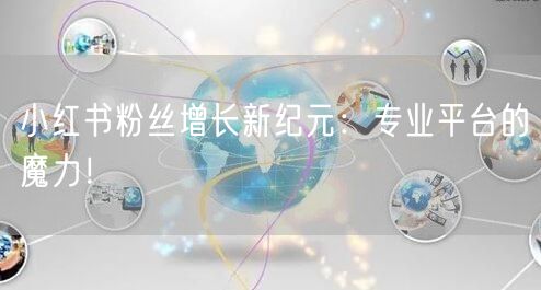 小红书粉丝增长新纪元：专业平台的魔力！