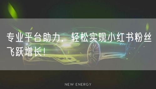 专业平台助力，轻松实现小红书粉丝飞跃增长！