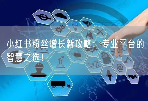 小红书粉丝增长新攻略：专业平台的智慧之选！